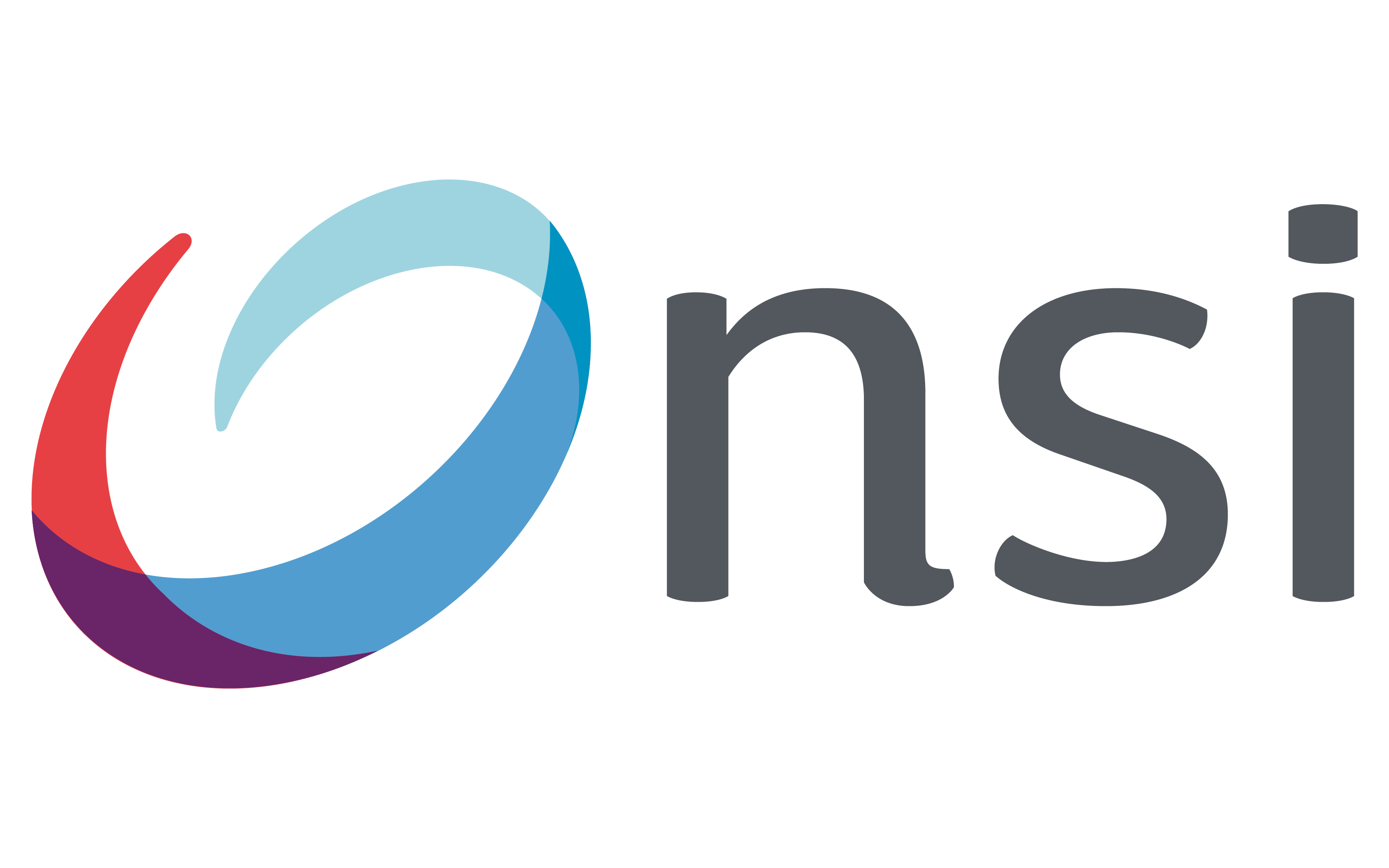 Logo NSI